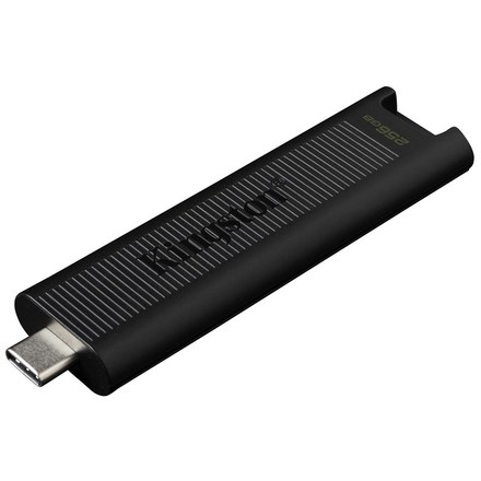 USB Flash disk Kingston DataTraveler Max 256GB USB-C - černý