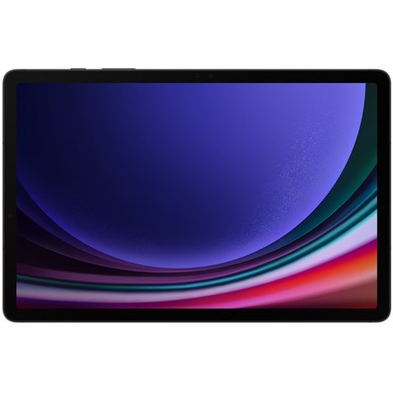 Dotykový tablet Samsung Galaxy Tab S9/SM-X710/11&apos;&apos;/2560x1600/12GB/256GB/Graphite (SM-X710NZAEEUE)