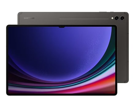 Dotykový tablet Samsung GalaxyTab S9 Ultra SM-X910 256GB Gray (SM-X910NZAAEUE)