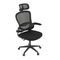 Kancelářská židle Autronic Židle kancelářská, černý mesh, černý plast, nastavitelný podhlavník, bederní opěrka (KA-E530 BK) (23)